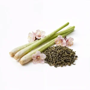 Colombia Geisha La Siberia